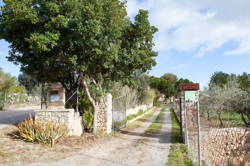 Country lane leading to the estate