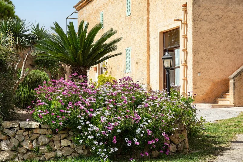 House entrance with palm tree and flowers