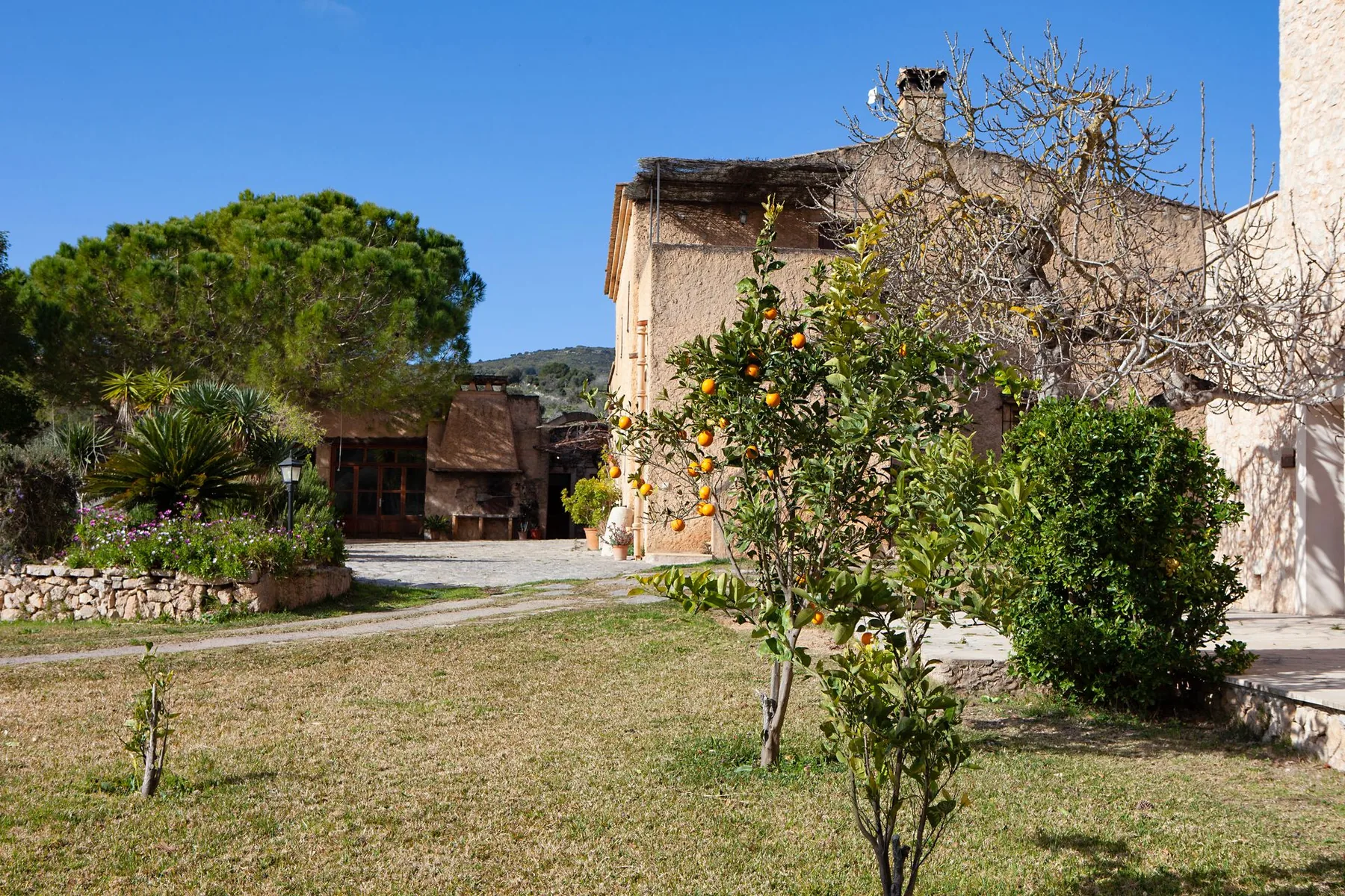 Garten eines Ferienhauses von Sineu Holidays