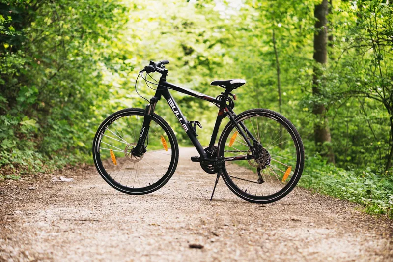 Bicicleta apoyada en un camino rural entre árboles