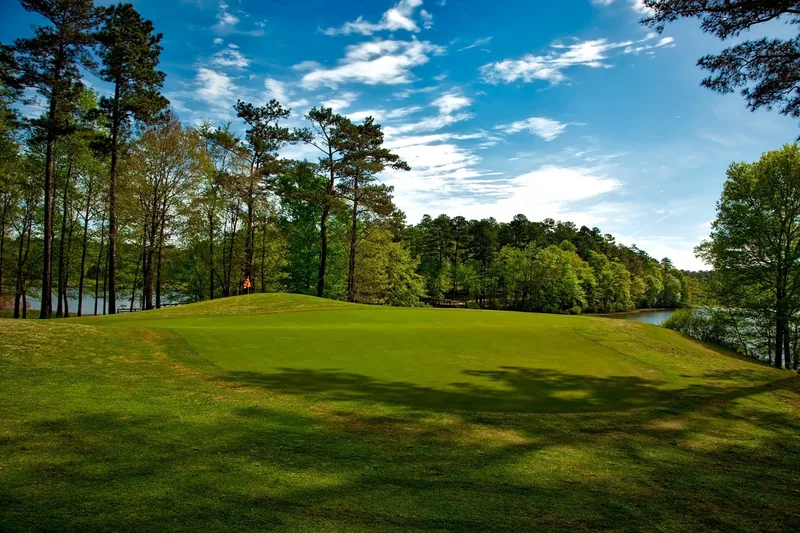 Green del campo de golf Son Gual rodeado de pinos