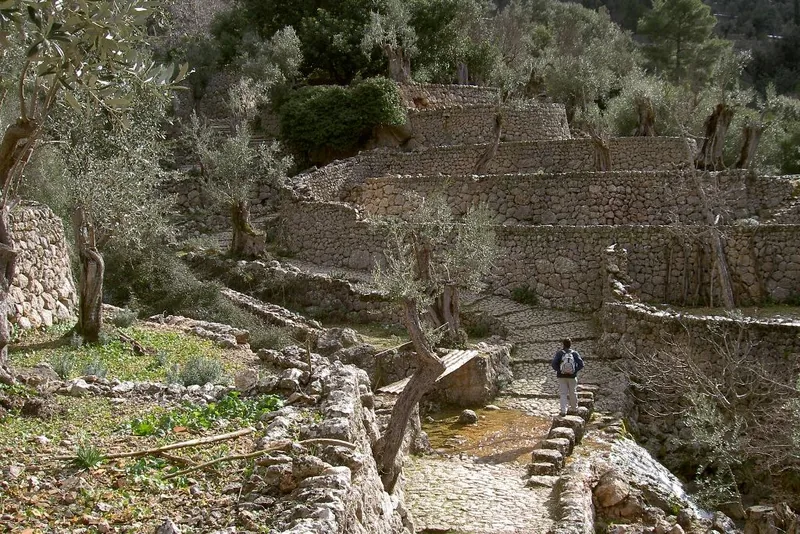 Sendero de piedra en seco en el Barranc de Biniaraix